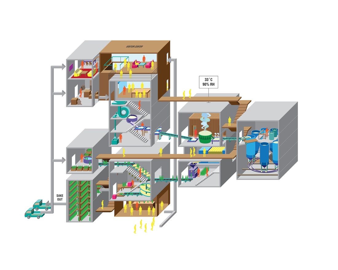 Diagram of sake production process