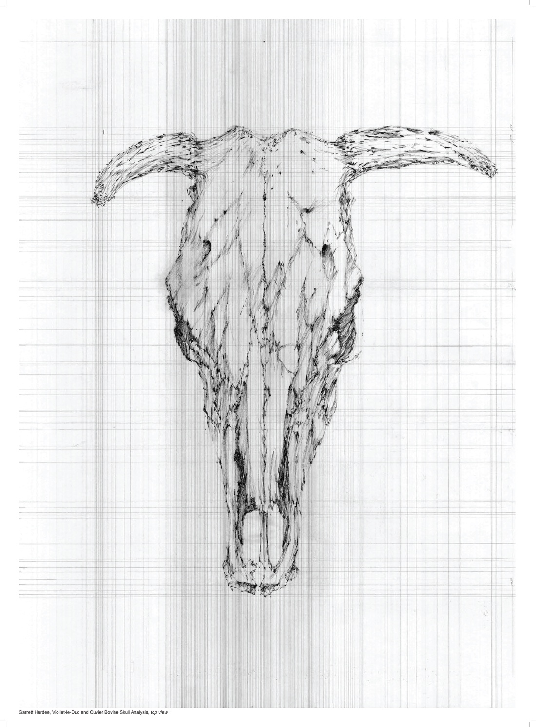 Drawing by Garrett Hardee
