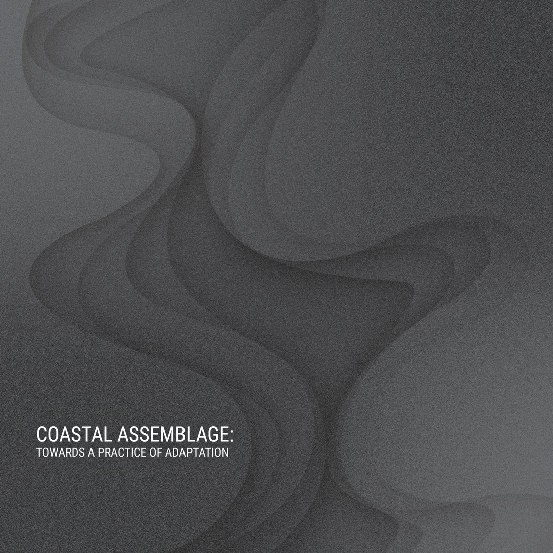 COASTAL ASSEMBLAGE: TOWARDS A PRACTICE OF ADAPTATION
