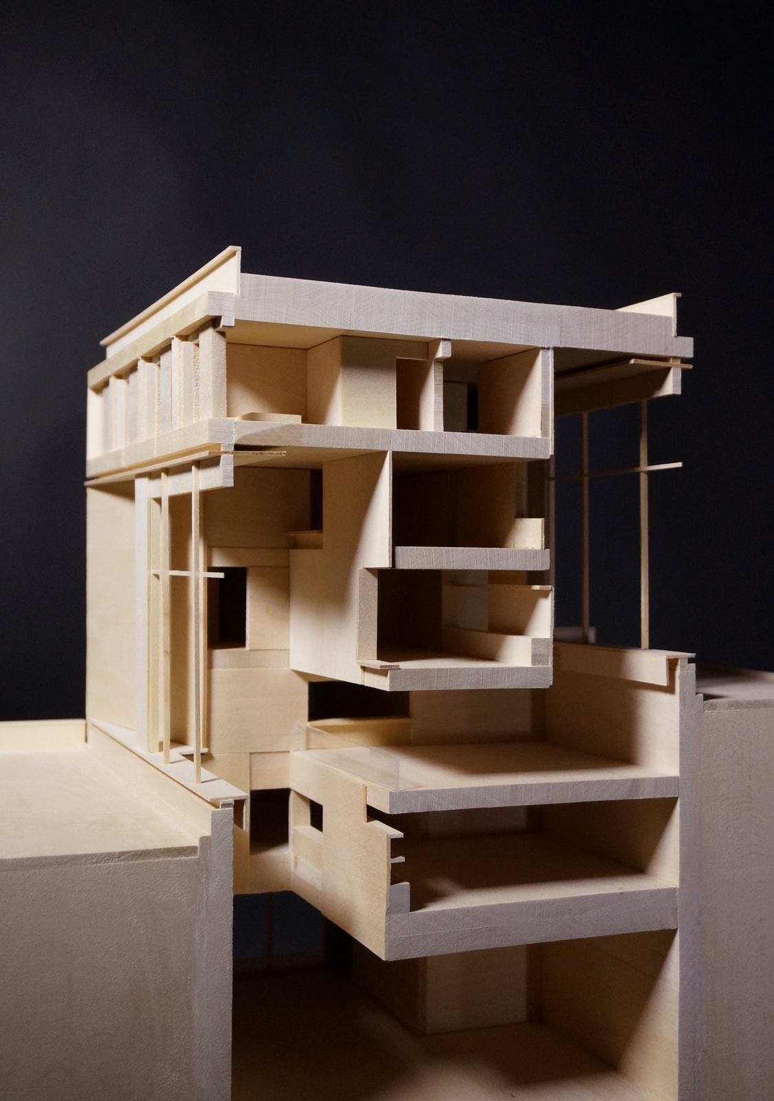 Section model